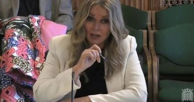 Furious Carol Vorderman criticises the Tories' laws