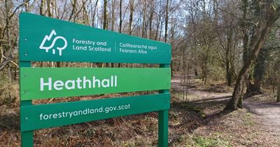 Consultation event on future of Heathhall woodlands in Dumfries