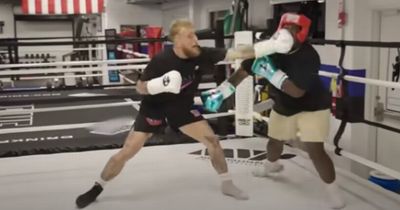 Jake Paul beats up "hater" in brutal $10,000 spar ahead of Nate Diaz fight