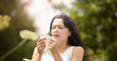 'Pollen bomb' to hit Britain this week causing more misery for allergy sufferers