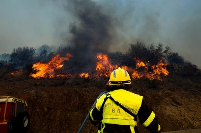 Firefighters battle France's 1st major forest blaze of 2023