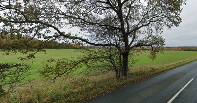 Man, 20, dies and another left injured after car hit a tree