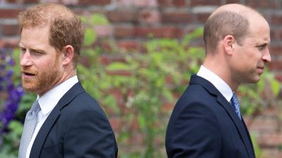 Prince Harry won't reunite with Prince William at the Coronation despite his father's pleas as the 'arch nemeses' remain at loggerheads