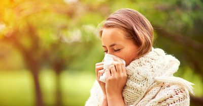 Expert shares key foods that help relieve hay fever symptoms - including popular fish