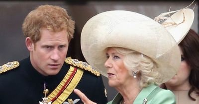 Prince Harry will have five unpleasant Coronation showdowns - including Camilla clash