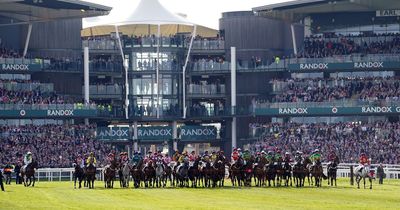 Trainer says "we are all completely devastated" following horse's death in Grand National