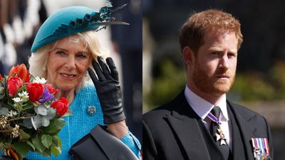 Prince Harry should be terrified of 'the lady boss' Camilla as she 'can be steely as f***' says inner circle