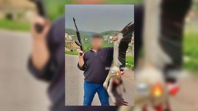 Hunters in Lebanon use automatic rifles to gun down dozens of rare birds ‘for fun’