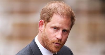 Prince Harry 'only has six Brit pals' so no one can confront him over behaviour