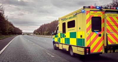 Elderly woman seriously injured after car crashes into ambulance on A19