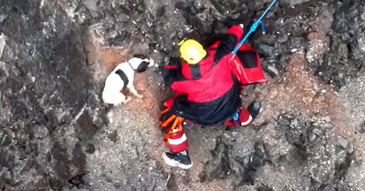 Incredible footage of heartwarming dog rescue captured by police drone