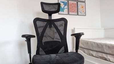 SIHOO M57 Office Chair review: great ergonomics but basic quality