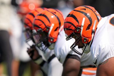 Look: Bengals players return for offseason workout program