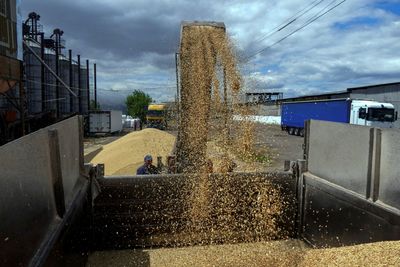 Slovakia approves ban on some Ukraine farm products, maintains transit
