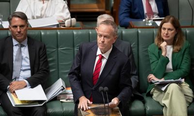 Labor to target ‘unethical practices’ and ‘shoddy therapies’ in expanded NDIS crackdown