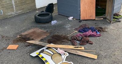 Glasgow nursery trashed as 'devastated' staff plead for help finding vandals responsible