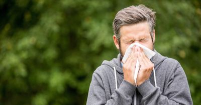 Scotland hay fever warning as 'pollen bomb' set to hit country this week