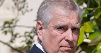 Prince Andrew documentary will air during Coronation coverage as Channel 4 announces shake-up