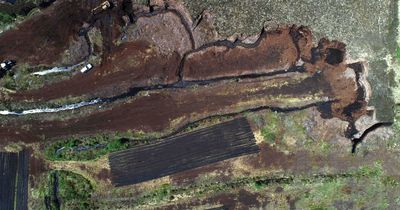 AI project aims to use tech to predict landslides, illegal mining, erosion and emissions in Irish bogs
