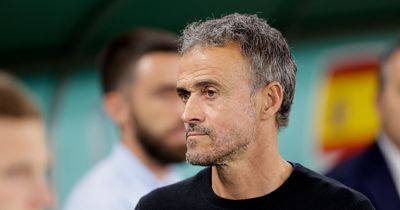 Tottenham make decision on Chelsea-linked Luis Enrique as new manager search intensifies