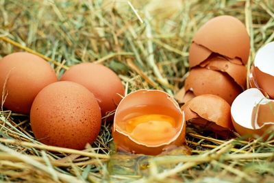 Egg Prices Fall After Recent Surge