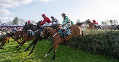Trainer blames animal rights protesters for Grand National horse death