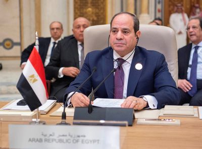Egyptian troops held in Sudan were not there to support any party -Sisi