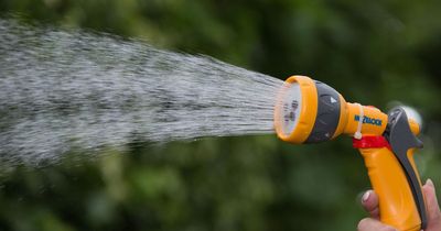 Gardeners to be hit by hosepipe ban from next week