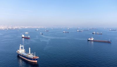 Ship inspections restart under Ukraine grain deal - RIA