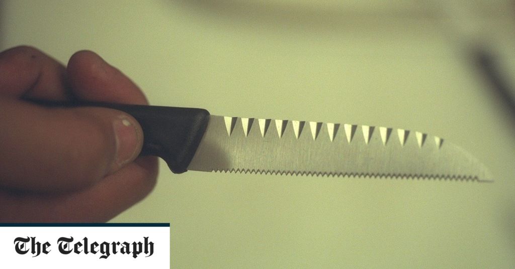 Kitchen knives could be seized from homes under…