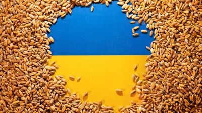 Poland reaches agreement on transit of Ukrainian grain