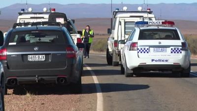 Robert Lloyd Hall coronial inquest hears driver didn't meet minimum vision test requirements