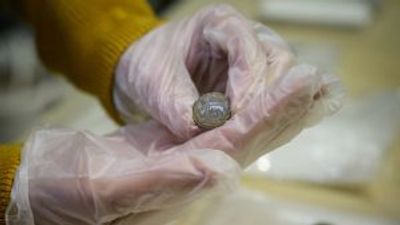 The mystery of Roman coins discovered on remote Baltic Sea island