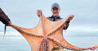 Dad discovers enormous octopus on UK beach during fishing trip with daughter
