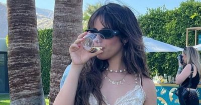 Camila Cabello strips to underwear as it's revealed she and Shawn are NOT back together