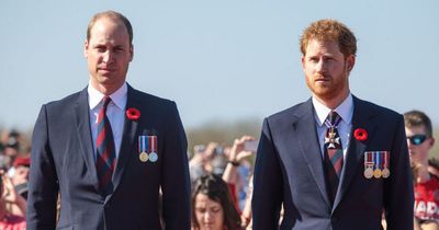 Prince William will 'tolerate' Harry but has rejected his crucial demand, says expert