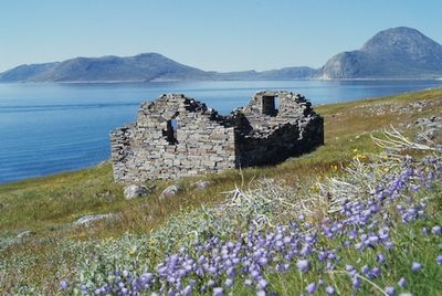 Why Did the Vikings Abandon Greenland? New Study Pieces Together a Complex Answer