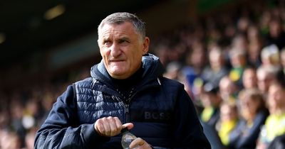 'Fans of every club in the top half can still dream,' says Tony Mowbray as the play-off race hots up