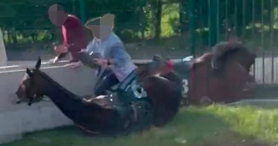 Woman has leg crushed by TWO stampeding horses in shocking Grand National footage