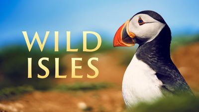 How to watch Wild Isles: David Attenborough's look at the wildlife of the UK