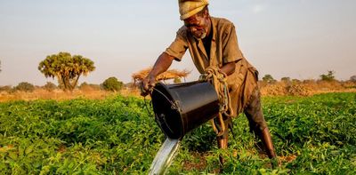 Feeding Africa: how small-scale irrigation can help farmers to change the game