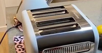 Woman discovers 'hidden compartment' in toaster and it's blowing people's minds