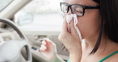 Warning drivers could face £2,500 fine for sneezing behind the wheel this week