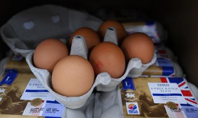 British free range eggs to start returning to supermarkets soon as curbs lifted