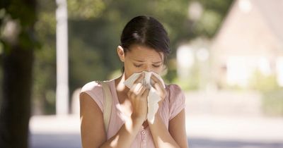 Dublin doctor's top tips to manage hay fever symptoms include freezing kids' toys amid 'high' tree pollen levels