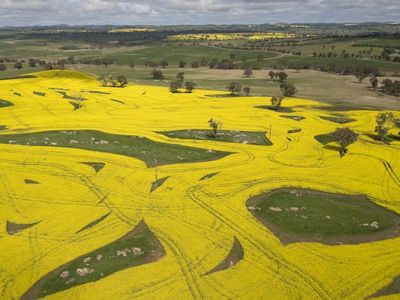 Aussie farmland price surge could soon dry up