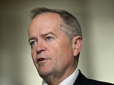 Shorten pledges to eliminate 'predatory' NDIS providers