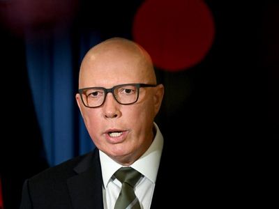 Dutton raised 'systemic' abuse issues with PM