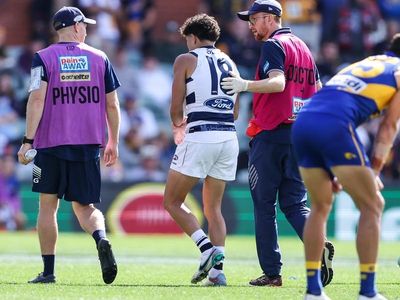 Injury-hit Geelong send Stengle, Stanley for surgery