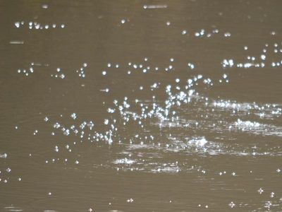 Methane worry for Qld river 'bubbling like a broth'